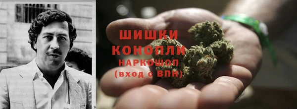 твердый Алзамай