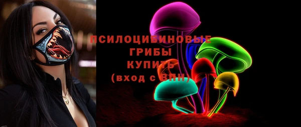 винт Елабуга