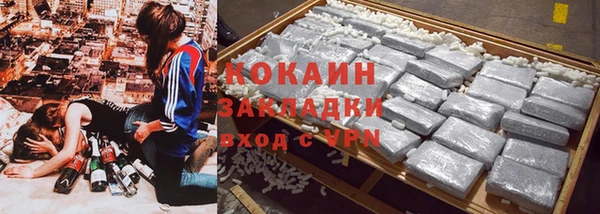 дмт Ельня