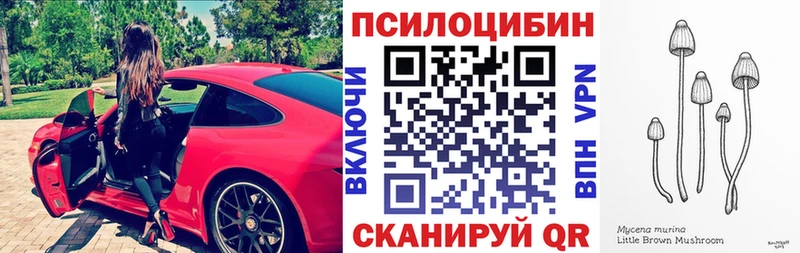 blacksprut ТОР  Наволоки  Галлюциногенные грибы Psilocybine cubensis 